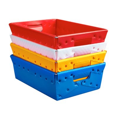 Kolorowe tace z tektury falistej PP