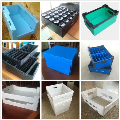 Mantis PP Plastic Boxes Mantis PP Plastic Boxes