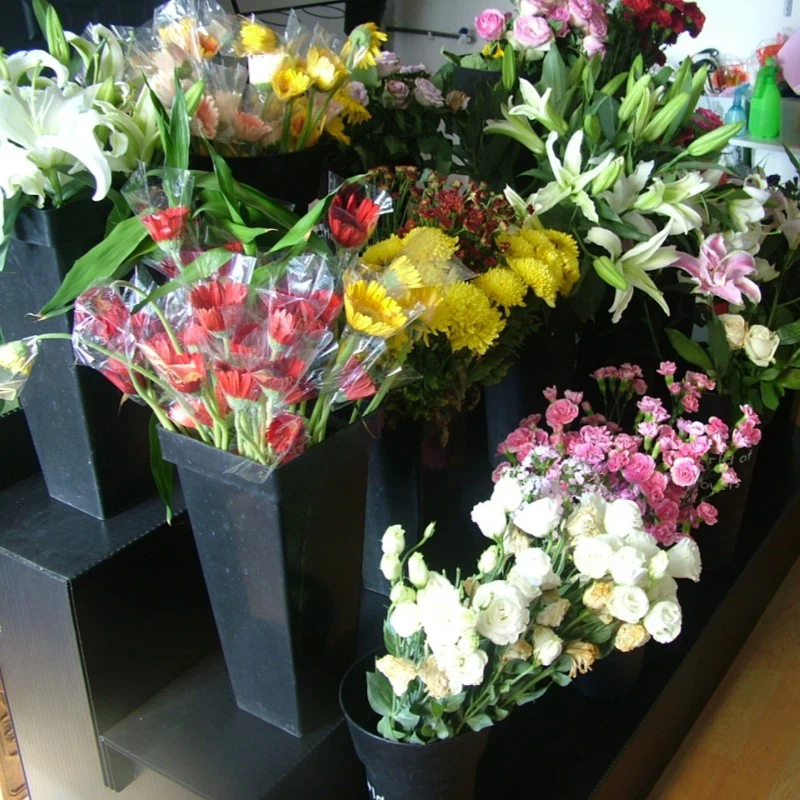 PP Display Stand factory
